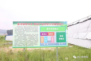 淅川人民政府门户网 推动初级农产品高质量发展助力乡村振兴