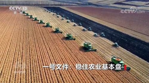 稳住农业基本盘 焦点访谈与一号文件下的初级农产品发展之路